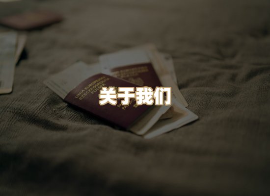 关于天岚学历排版网