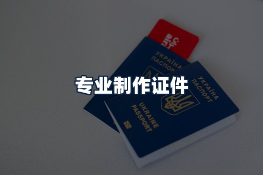 专业制作证件